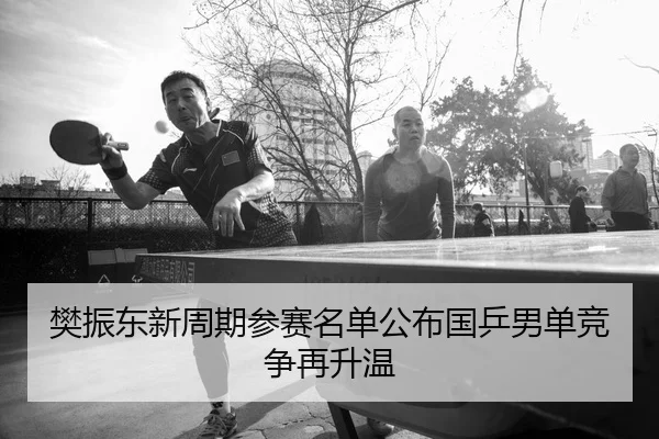 樊振东新周期参赛名单公布国乒男单竞争再升温